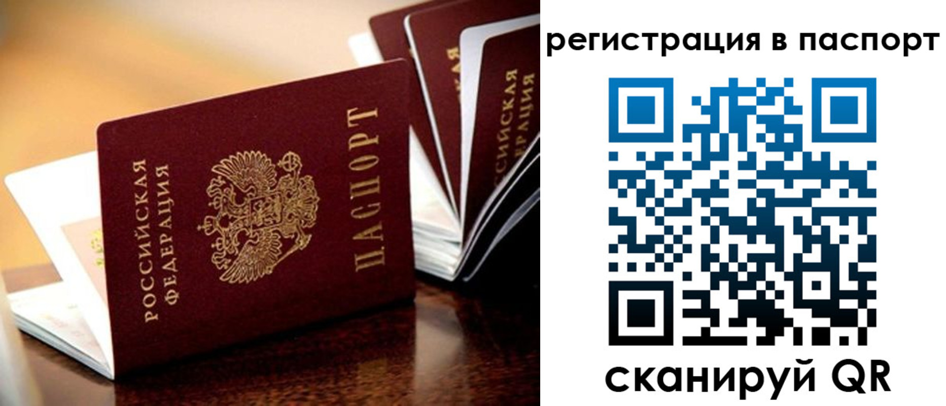 временная регистрация недорого в Россоши